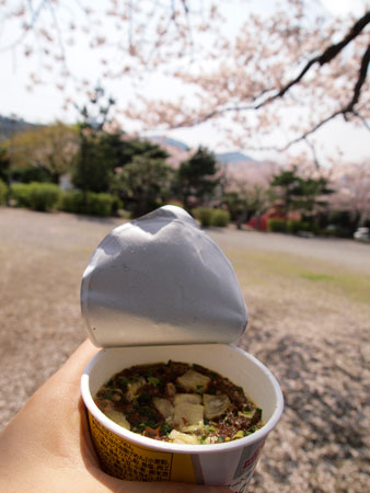 カップ麺と桜